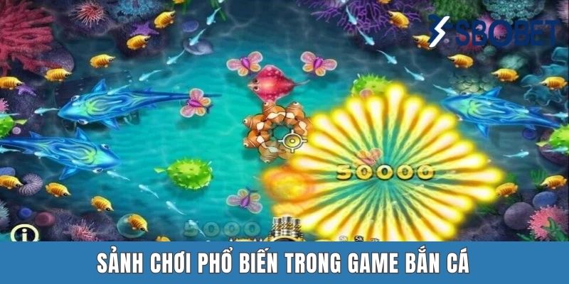Bắn Cá Sbobet - Địa Chỉ Săn Cá Hấp Dẫn Mới Lạ Nhất Năm 2025 Sảnh chơi phổ biến trong game bắn cá