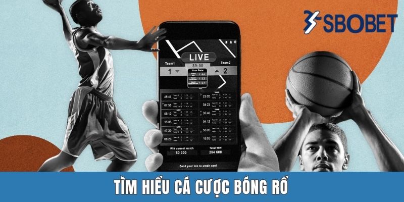 Cá Cược Bóng Rổ Sbobet | Cách Chinh Phục Những Loại Kèo Chất Nhất Tìm hiểu cá cược bóng rổ