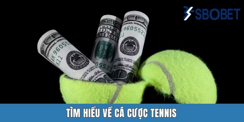 Tìm hiểu về cá cược tennis