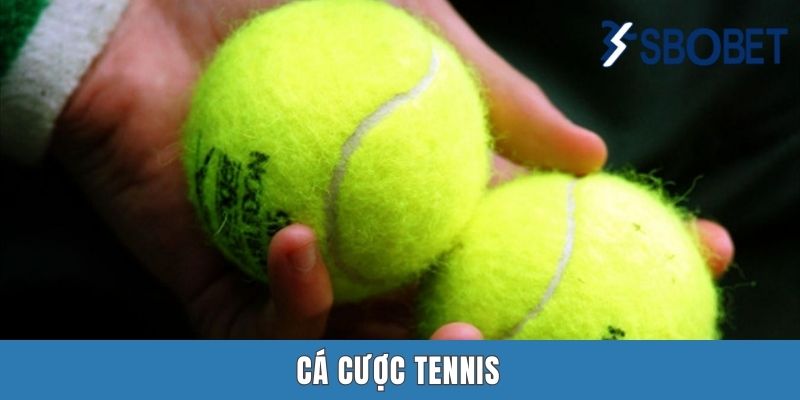 Cá Cược Tennis Sbobet | Bung Xõa Đam Mê Cùng Các Kèo “Banh Nỉ” Cá Cược Tennis Sbobet | Bung Xõa Đam Mê Cùng Các Kèo “Banh Nỉ”