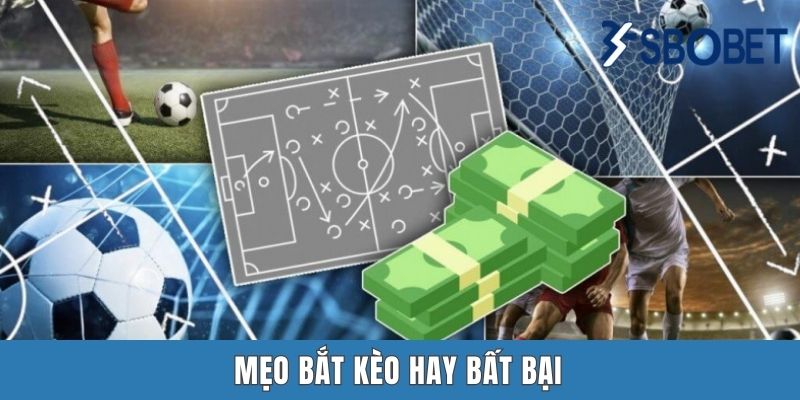 Kèo Châu Á Sbobet | Tổng Hợp 4 Hình Thức Kèo Mà Ai Cũng Biết Mẹo bắt kèo hay bất bại