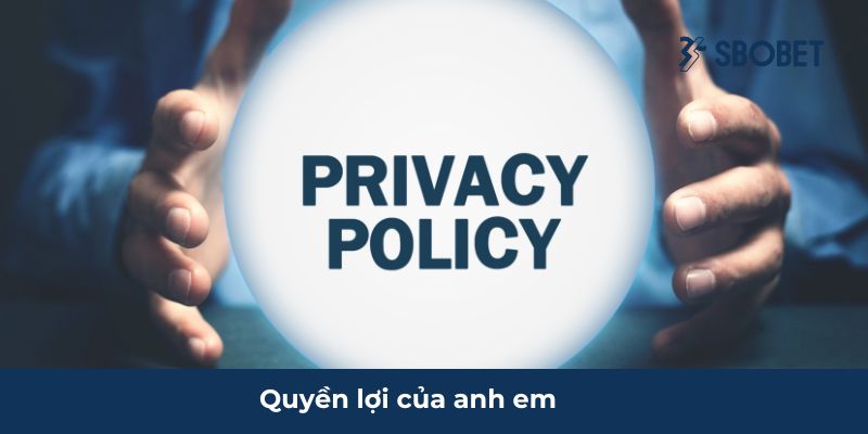 Quyền lợi của khách hàng