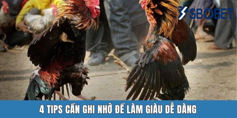 4 tips cần ghi nhớ để làm giàu dễ dàng