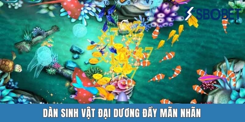 Dàn sinh vật đại dương đầy mãn nhãn