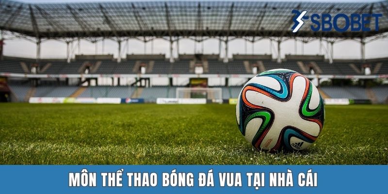 Môn thể thao bóng đá vua tại nhà cái