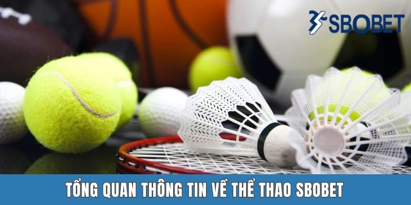 Tổng quan thông tin về thể thao Sbobet
